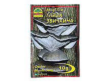 Міцелій гриба Глива звичайна, 10г