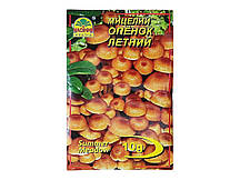 Міцелій гриба Опенок Літній, 10г