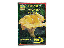 Міцелій гриба Лисичка Жовта, 10г