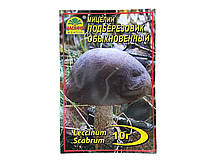 Міцелій гриба Підберезник звичайний, 10г