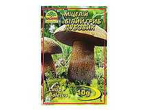 Міцелій гриба Білий Дубовик, 10г