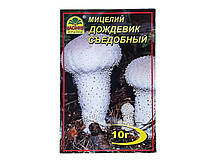 Міцелій гриба Дощовик їстівний, 10г