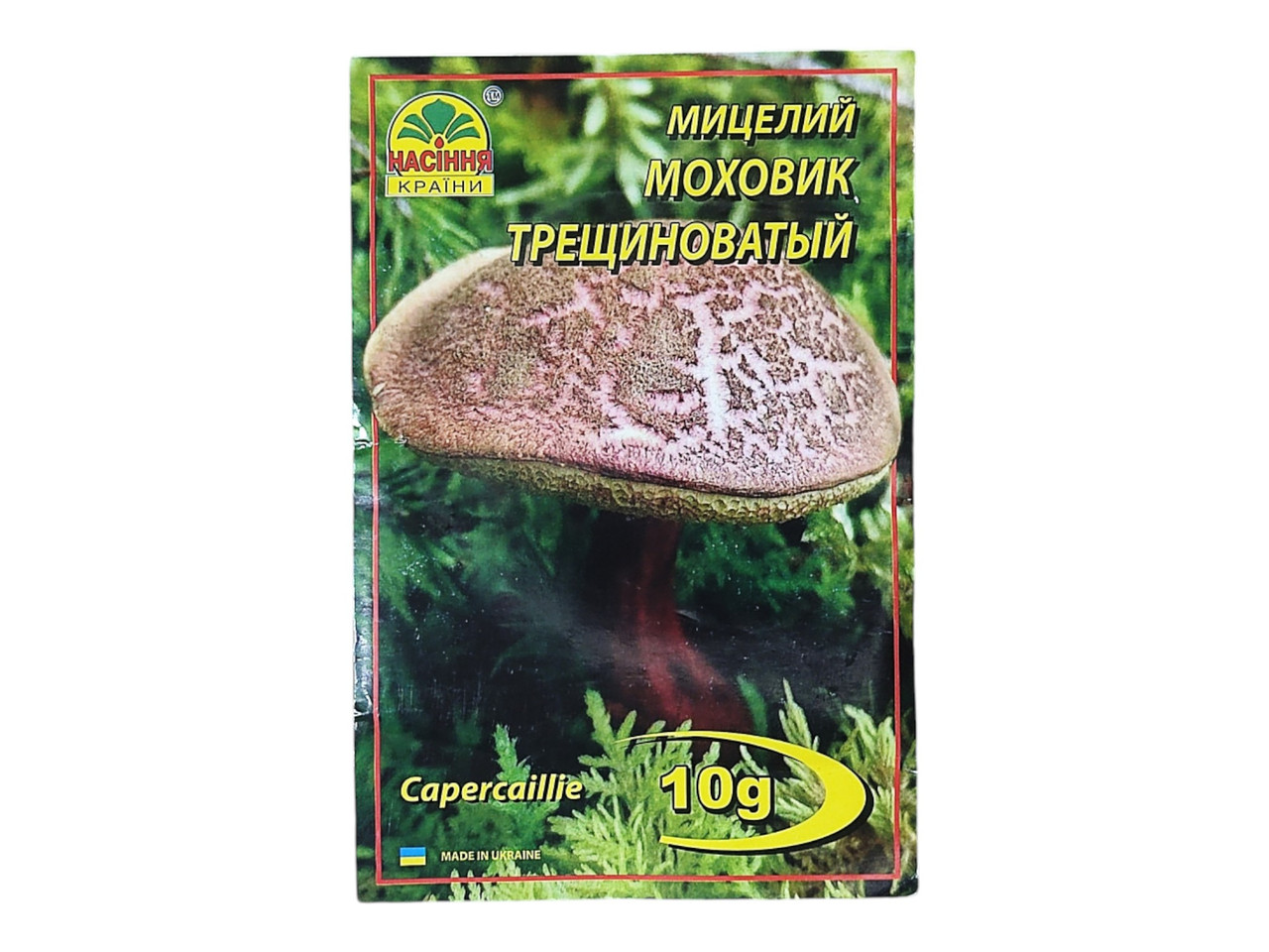 Гриба міцелій Моховик, 10г