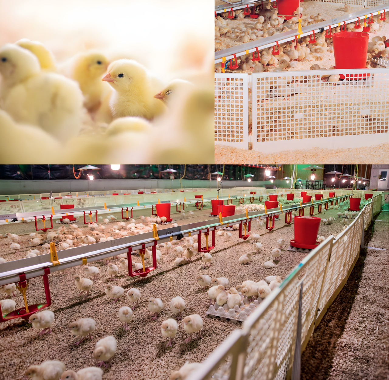 Петля Lubing 4512-09 для надійного з’єднання секцій пластикових огорож, фото 1