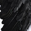 Крила Ангела 80х60см, MA26-188, Чорні / Ангельські крила / Крила Амура / Великі крила на Хеллоуїн, фото 7