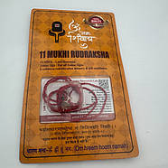 Амулет-талісман Рудракша 11 Мукхі (11 Ліков), фото 2