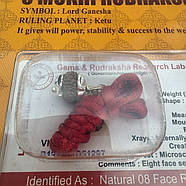 Амулет-талісман Рудракша 8 Мукхі (8 Ліків), фото 5