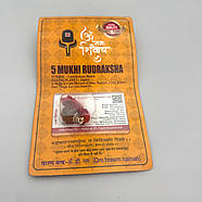 Амулет-талісман Рудракша 5 Мукхі (5 Ліків), фото 2