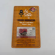 Амулет-талісман Рудракша 1 Мукхі (1 Лик), фото 4