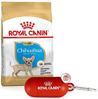 Акція! Сухий корм Royal Canin Chihuahua Puppy для цуценят, 1,5 КГ+ диспенсер для пакетів у подарунок!