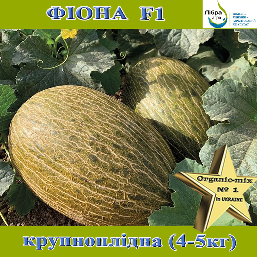 Диня Фіона F1 (Пьель де Сапо), ТМ Libra Seeds, фото 1