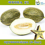 Диня Фіона F1 (Пьель де Сапо), ТМ Libra Seeds, фото 3