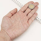 Срібло 925 Піни з кільцем і тримачем дя Кулона, Розмір: 40 мм, Отвір: 3.5х4мм, Пін 0.5мм, 2 шт, фото 2