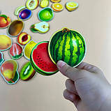 Дерев'яний сортер "Фрукти у розрізі" Рамка-вкладка для розвитку дітей (ПСД136), фото 6