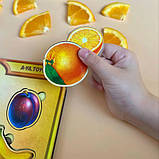 Дерев'яний сортер "Фрукти у розрізі" Рамка-вкладка для розвитку дітей (ПСД136), фото 3