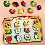 Дерев'яний сортер "Фрукти у розрізі" Рамка-вкладка для розвитку дітей (ПСД136), фото 2