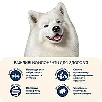 Сухий корм для собак Home Food Hypoallergenic Adult Medium середніх порід форель та рис 10 кг, фото 5