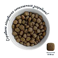 Гіпоалергенний сухий корм для дорослих собак великих порід Hypoallergenic форель та рис 10 кг, фото 2