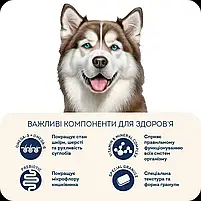 Гіпоалергенний сухий корм для дорослих собак великих порід Hypoallergenic форель та рис 10 кг, фото 4