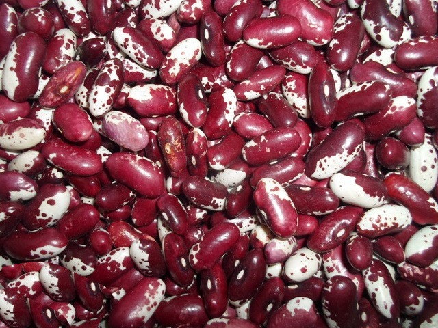 Квасоля ластівка1кг, фото 1