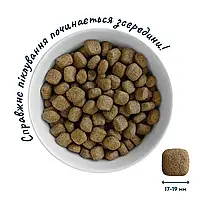 Сухий корм здорова шкіра та блиск вовни для дорослих собак великих порід Healthy skin and shiny 3 кг, фото 2