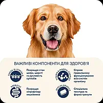 Сухий корм здорова шкіра та блиск вовни для дорослих собак великих порід Healthy skin and shiny 3 кг, фото 4