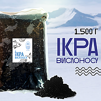 Ікра імітована преміум «Осетер» 1,5кг Вомонд