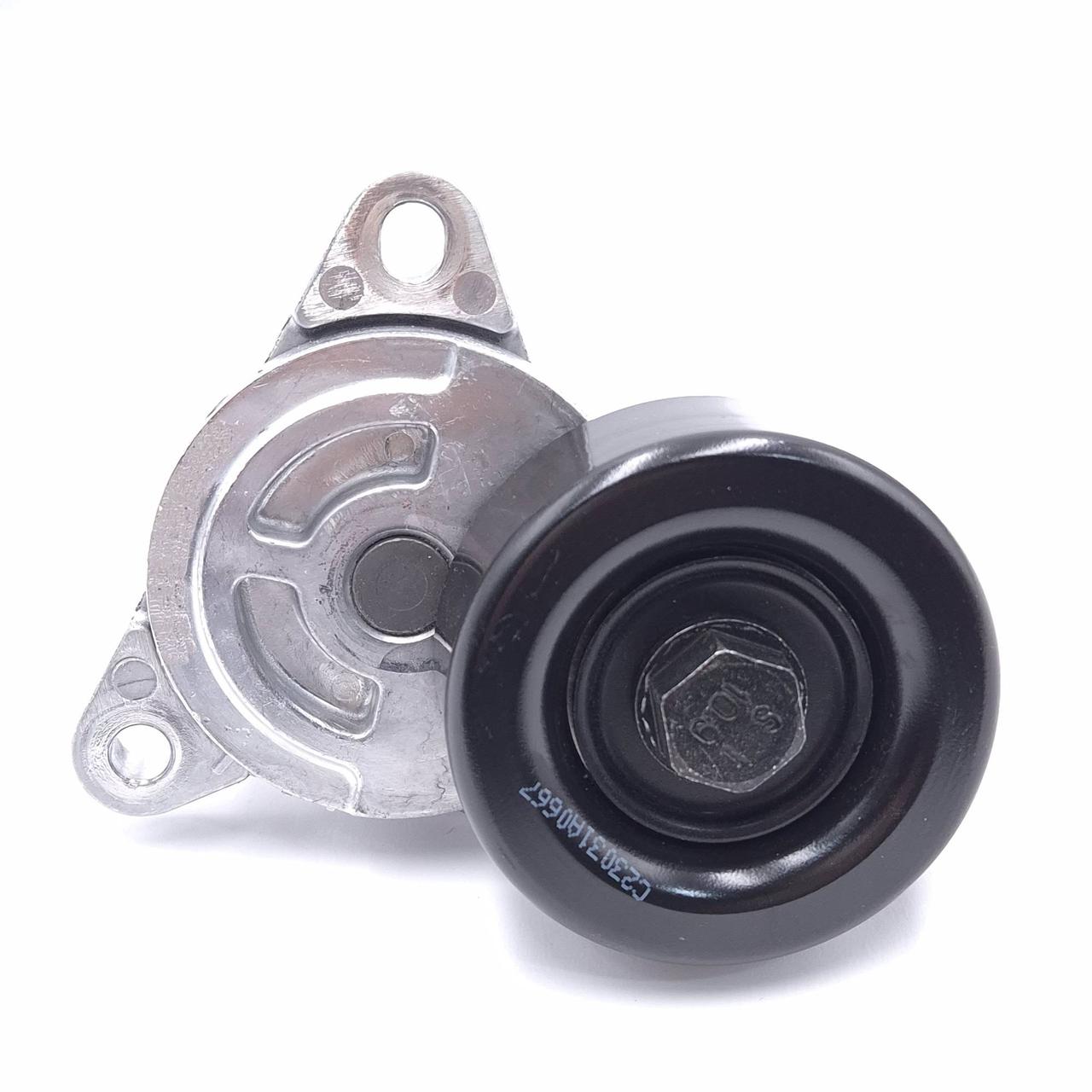 INA Роликовий модуль натягувача ременя 534030610, фото 1