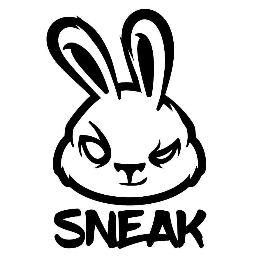 Вінілова наклейка  SNEAK 20 x 15 см., фото 1