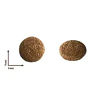 Сухий корм для стерилізованих кішок та кастрованих котів Home Food or sterilised/neutered 1.6 кг, фото 2