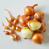 Цибуля сіянка Бріджер (Голландія, Bejo), 1кг