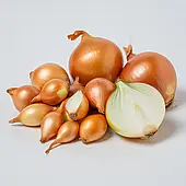 Цибуля сіянка Радар (Голландія, Broer), 1кг