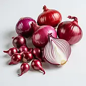 Цибуля сіянка Ред Барон (Broyer, TOP), 1кг