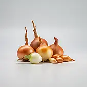 Цибуля сіянка  Сеншуй (Голландія, Broer), 1кг