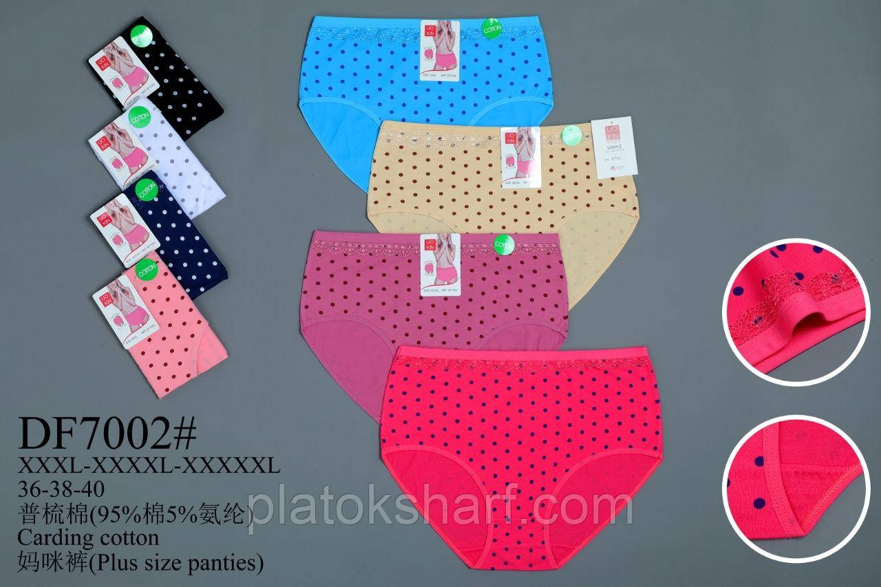 Кольорові бавовняні труси Однотонні Супер Батальні (7002)