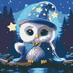 Картина за номерами Riviera Blanca Чарівна сова (з підсвічуванням) (GR1-027) 25 х 25 см