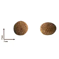 Сухий корм для кошенят Home Food Fresh Chicken For kittens 1-12 months з куркою 1.6 кг, фото 2