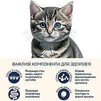 Сухий корм для кошенят Home Food Fresh Chicken For kittens 1-12 months з куркою 1.6 кг, фото 3