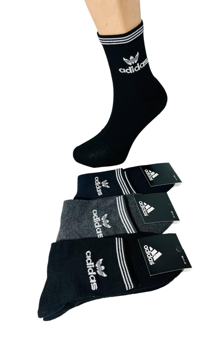Шкарпетки чоловічі 12 пар зимові махрова стопа бавовна Adidas Туреччина розмір 41-45 мікс кольорів