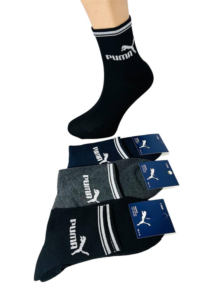 Шкарпетки чоловічі 12 пар зимові махрова стопа бавовна Puma Туреччина розмір 41-45 мікс кольорів