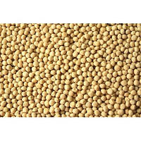 Горох озимий Баллтрап, сертифікований , 1 репродукція, 25 кг