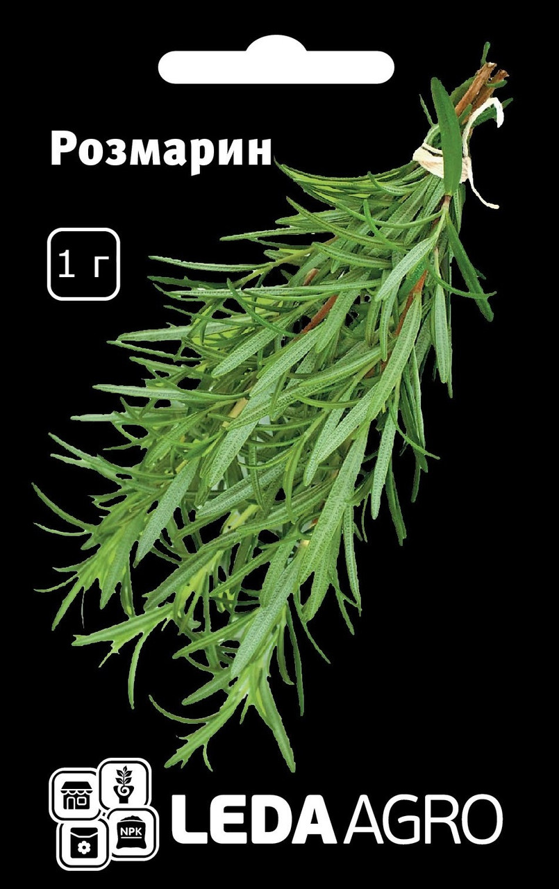 Пряно-смакові рослини, Розмарин, 1 г (Leda Agro), фото 1