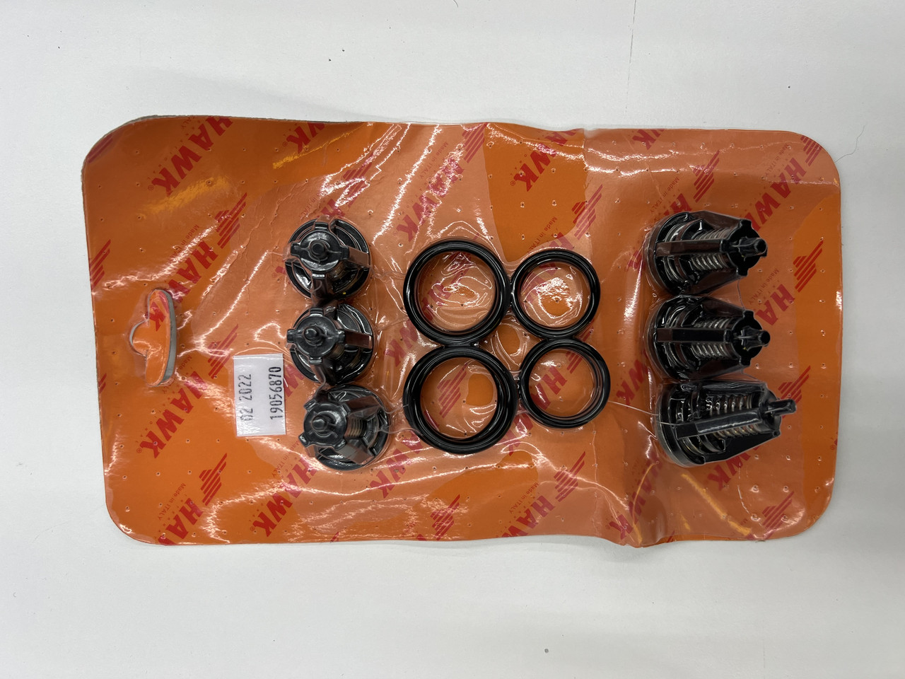 Клапара для помпи HAWK XLT15301 R/L XLT18301 R/L XLT22301 R/L XLT25301 R/L XLT30251 R/L XLT33251 R/L, фото 1