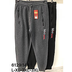 Зимові чоловічі штани на байці Розміри: 46,48,50,52 (16353)