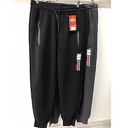 Зимові чоловічі спортивні штани на байці Розміри: 46,48,50,52 (16354)