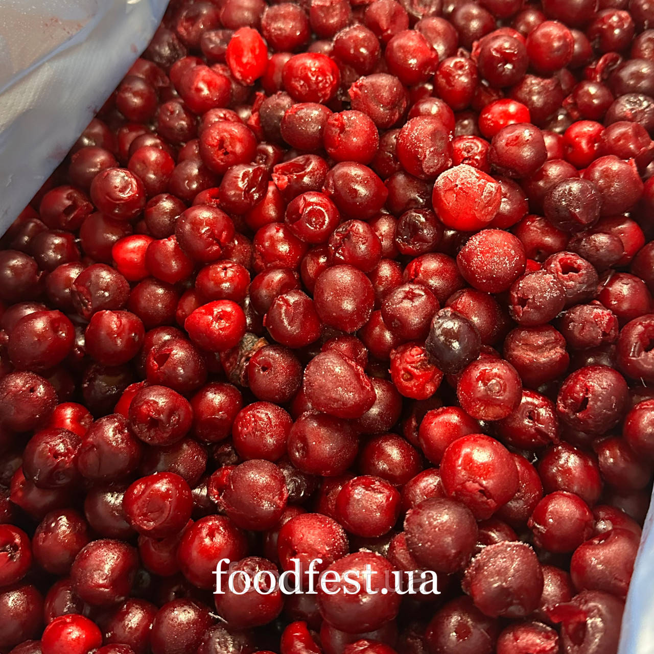 Вишня заморожена б/к столова (фасування від 2,5 кг), фото 1