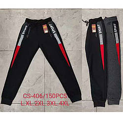 Чоловічі штани "Sport" на байку "Фабричний Китай" Розміри: 46,48,50,52,54 (16356)