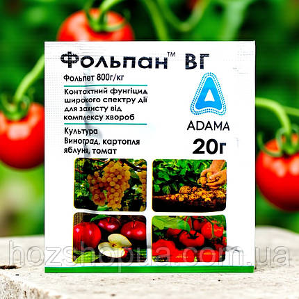 Фунгіцид Фольпан ВГ Adama, 20 г, фото 1