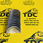 610800030078 + 610800030079 Вкладиші шатунні