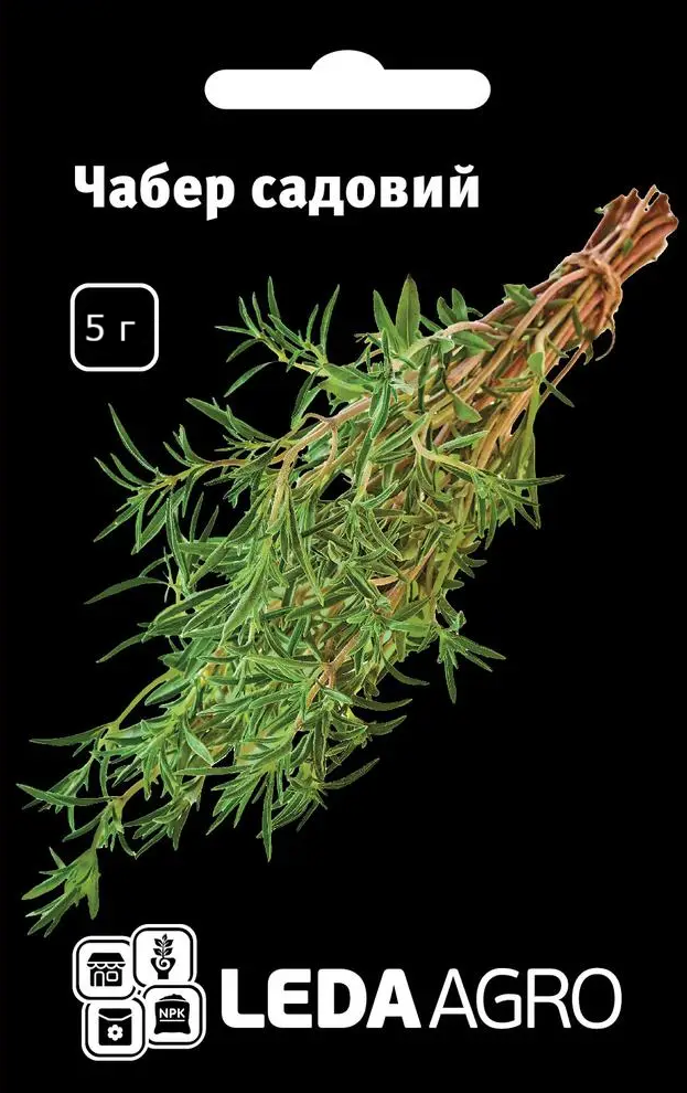 Пряно-смакові рослини, Чабер садовий, 5 г (Leda Agro), фото 1